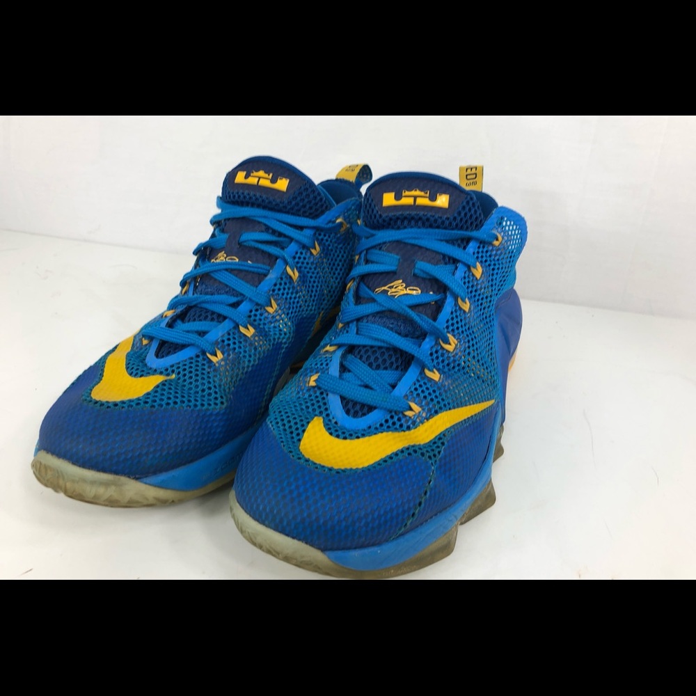 Nike lebron Size 10 xii low entourage photo blue